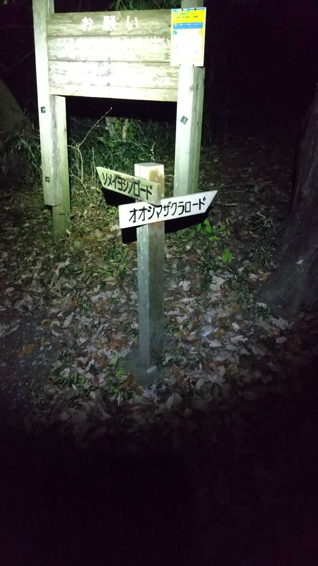 右が地図にある道