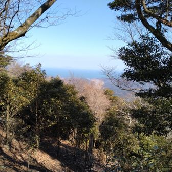 展望も結構あります