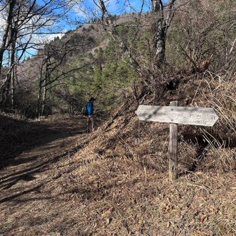 大権首（おおざす）峠の分岐