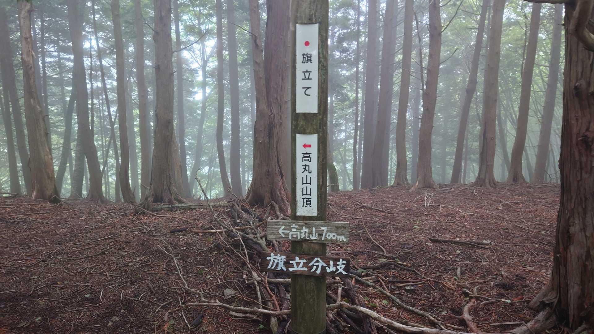高丸山登山口-三つ尾の峠-高丸山-旗立山-赤石丸 周回コースの写真