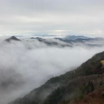 鎌の先っちょがチラ見えで
いい感じやん