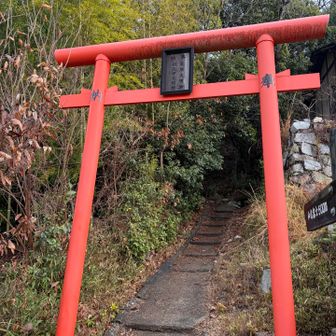 ４月１２日トレラン大会あるみたい🏃‍➡️