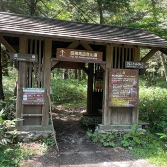 下山✨