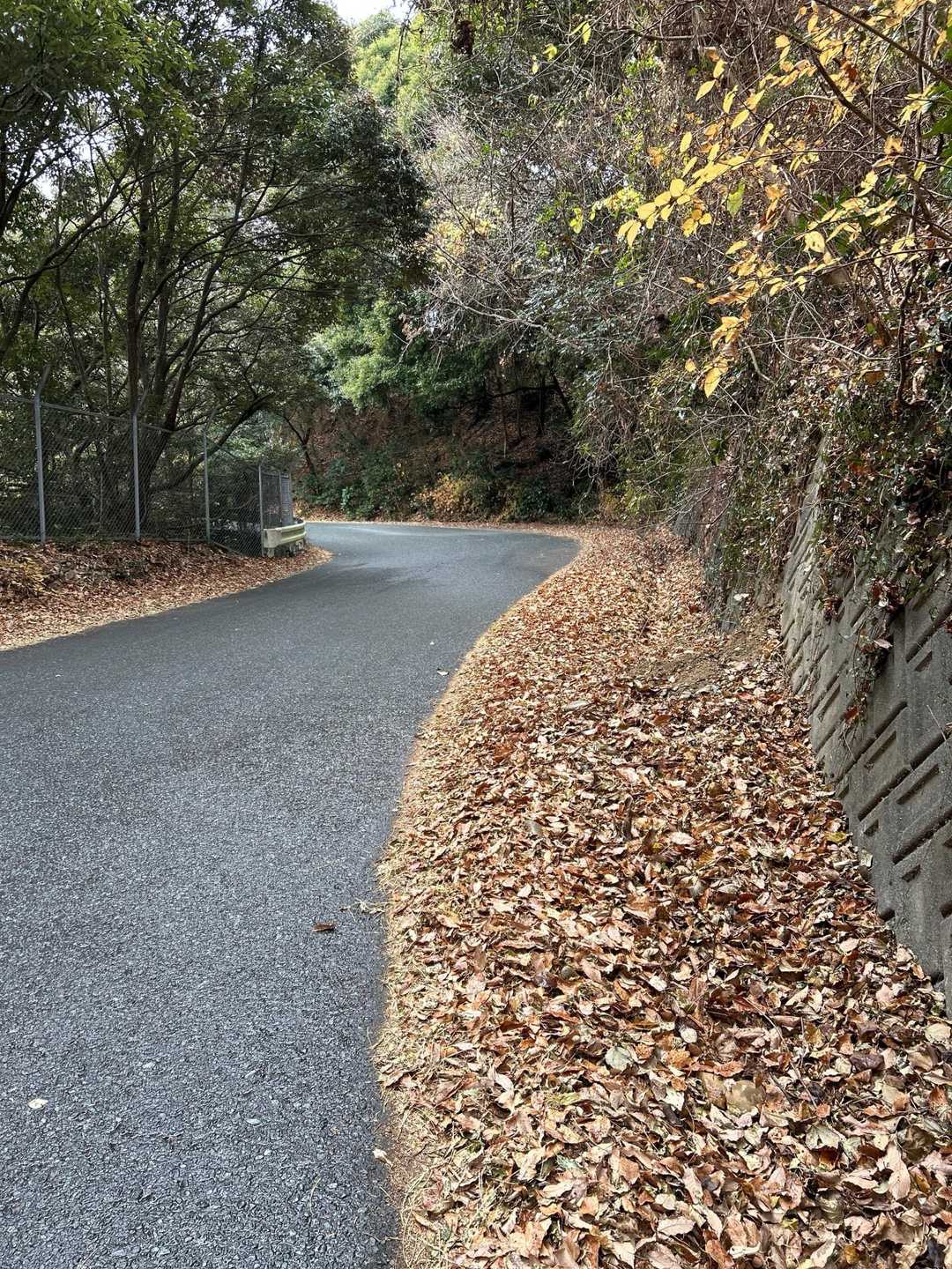 最初は舗装路歩き