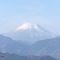 ウースケ