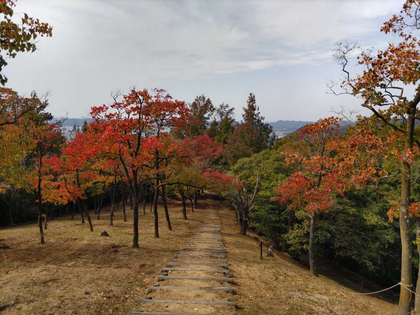 いいね〜😆🍁
