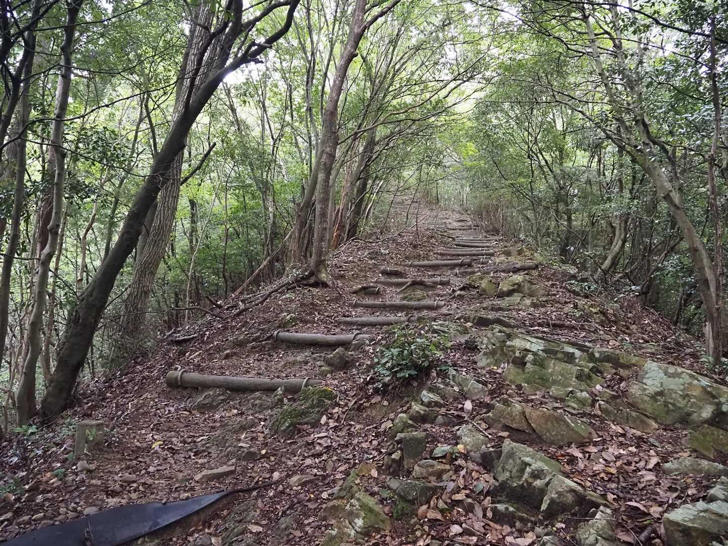 東海自然歩道