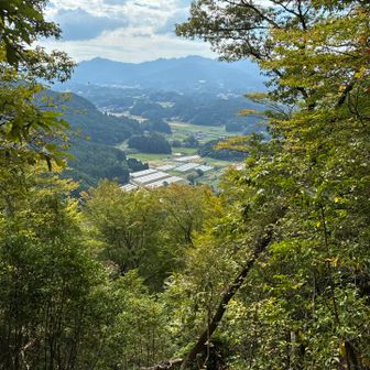 ビニールハウス群が見えるが、何を栽培してるのかな？