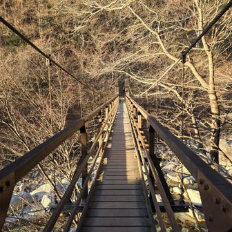 いざいざ！吊橋渡ってスタート。