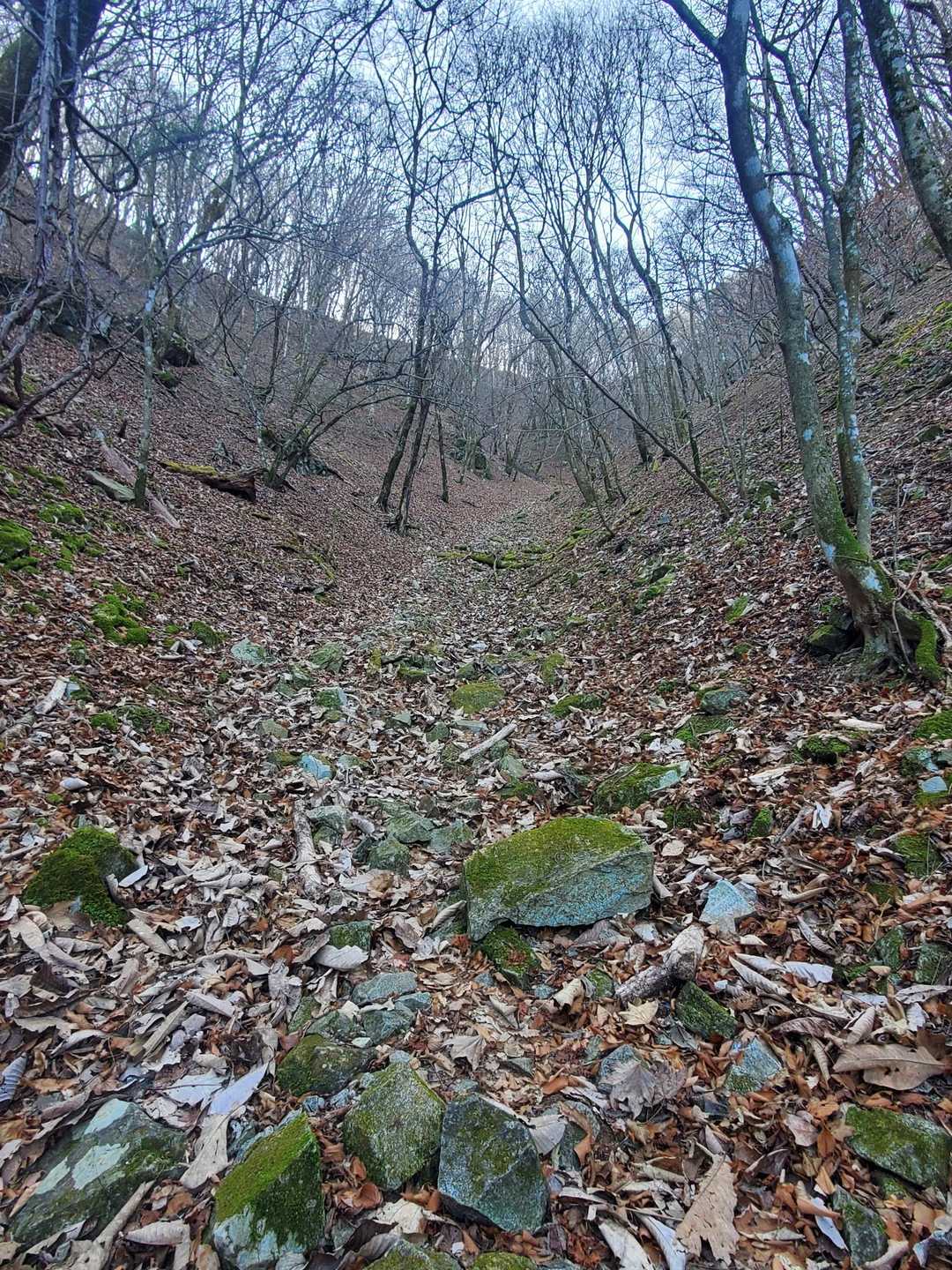 ここを上がるー！！
落ち葉🍂ラッセルで足元危ない…。