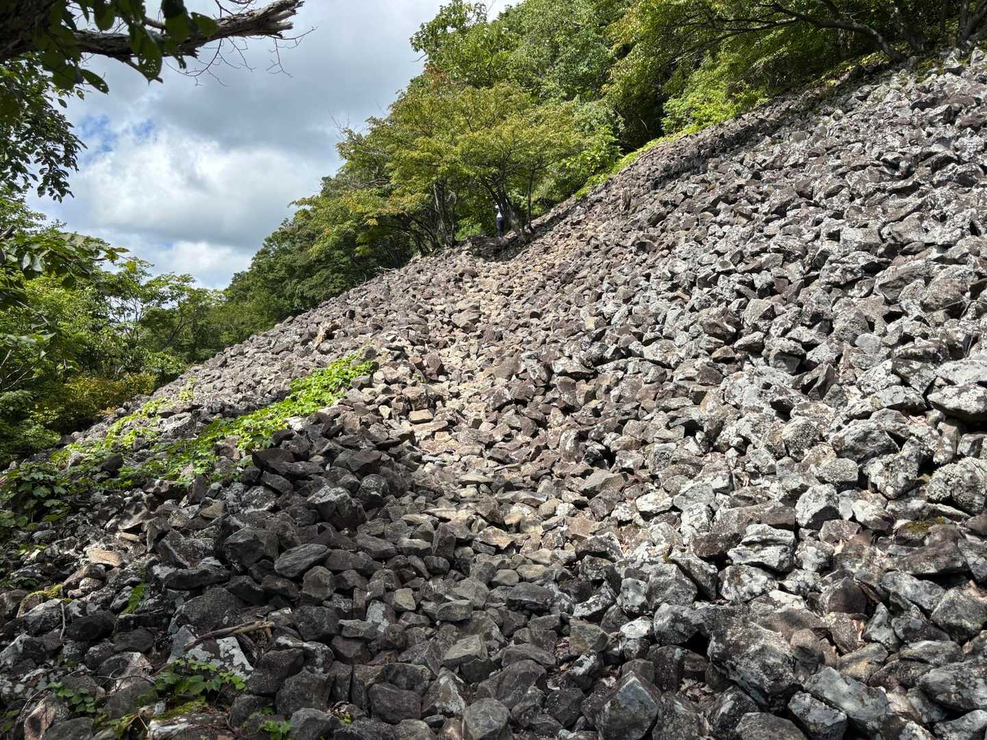 突然の岩岩。