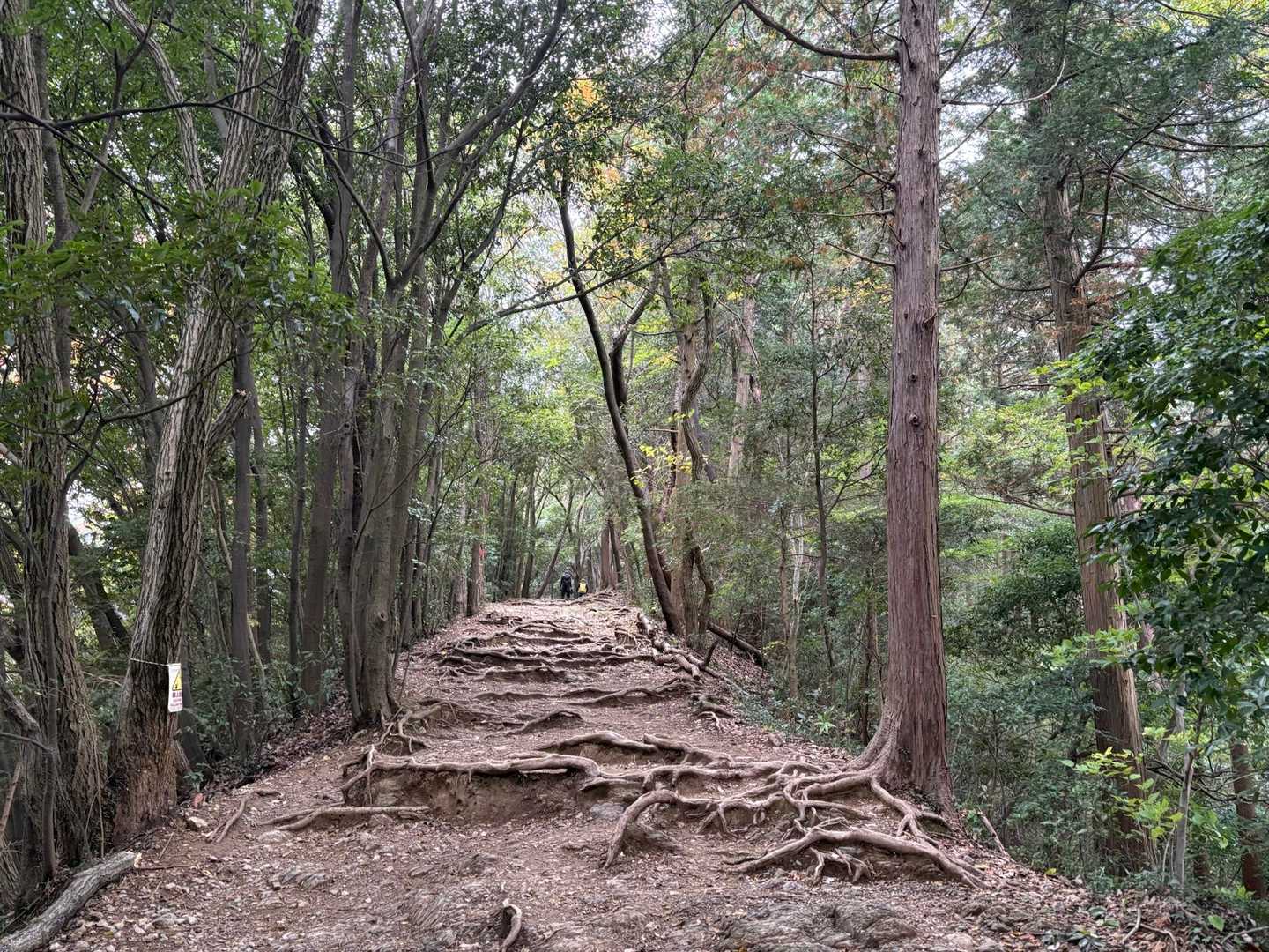 今日は稲荷山コースをゆっくり
