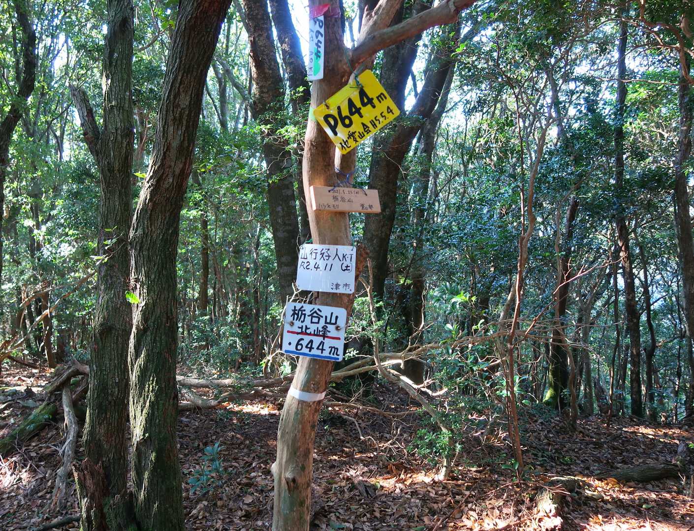 そんな繰り返しをしてると、栃谷山到着