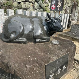 お世話になります🙇‍♀️