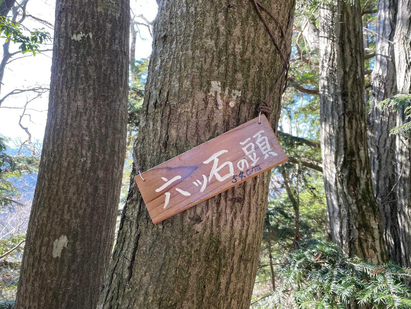 六座目、六ツ石の頭 540m
ゲットしたピークの名前と数、段々分からなくなってきた😅。。。