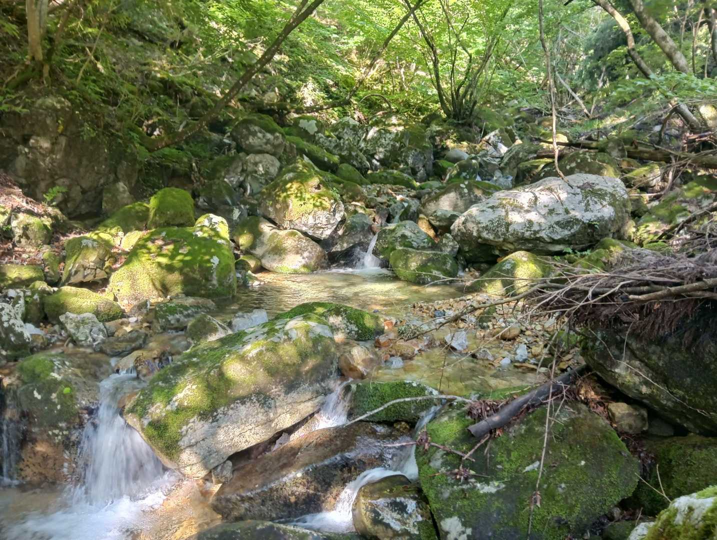 渡渉して🚶