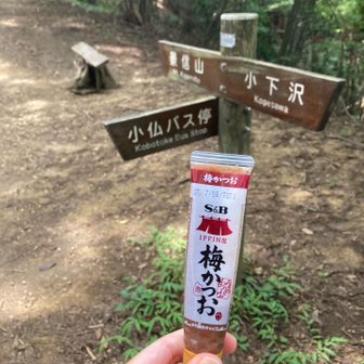 小下沢登山口に向かう途中。梅かつおチューブを吸いつつ。ここに写ってるベンチは、シーソーみたいになってて危険です。