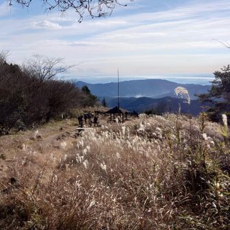 ススキと霞ヶ浦