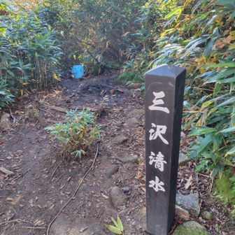 枯れてなくてありがたい