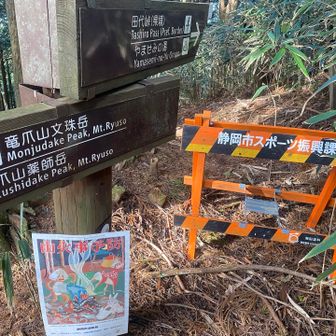 好きなコースの1つ
やませみコースはいまだ閉鎖中