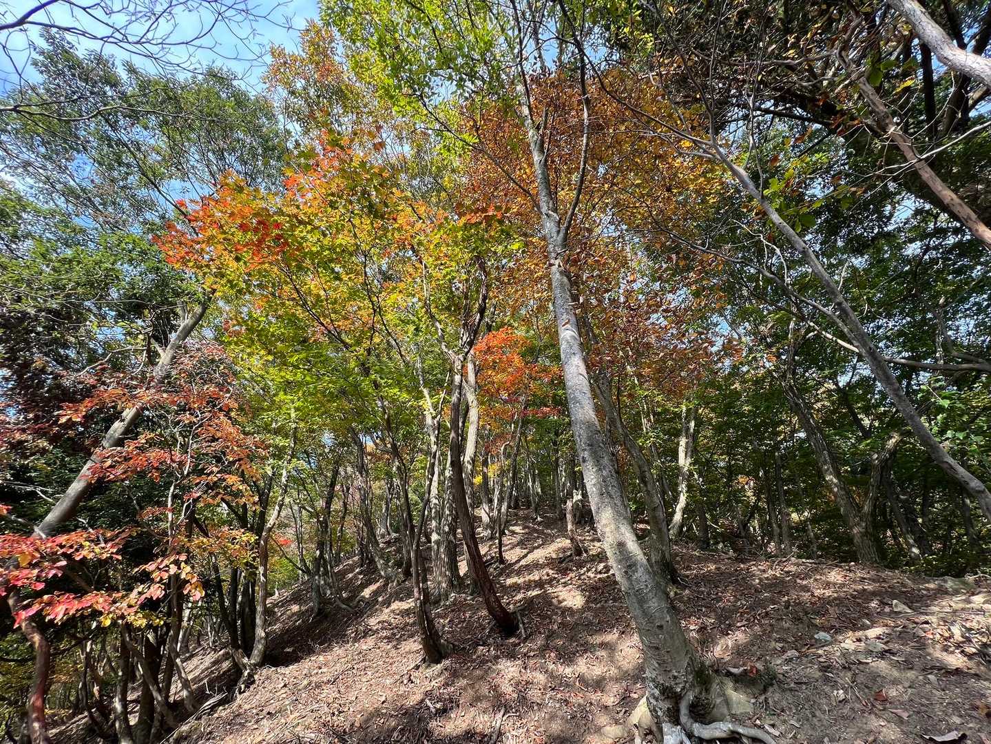 明るくなって、気分は上々…