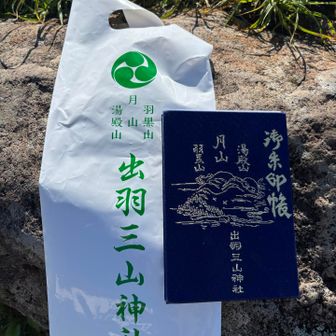 記念に買ってしまった。
