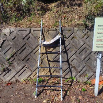 ハシゴ。看板はとれかけてますがまだ大丈夫