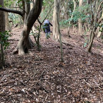 ひたすら登る！きっと飯をてんこ盛りに盛ったような山の形なんでしょうね！🍚