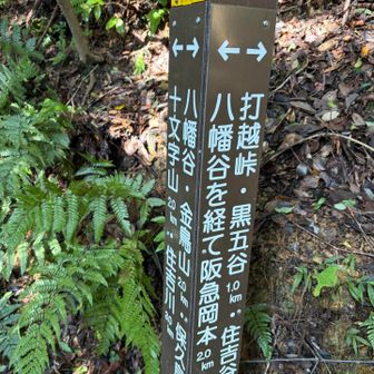 早々に八幡谷へ