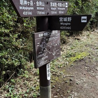 宮城野へ下山します
バスで金時神社まで行って車を回収しますよ