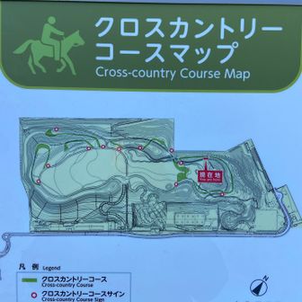 お馬で回っている人はいませんでした🐎