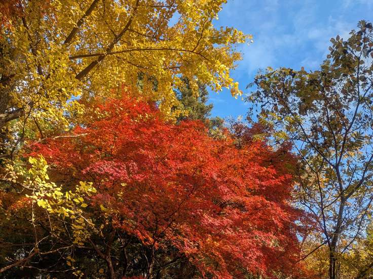 草戸山（東京,神奈川） | YAMAP / ヤマップ