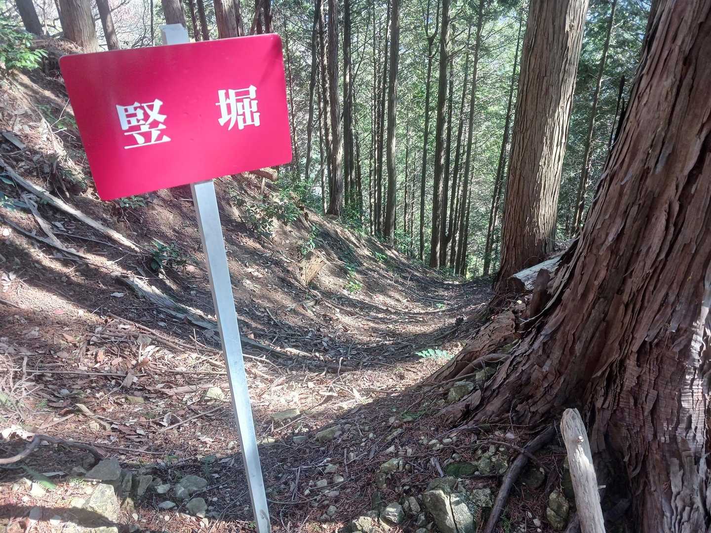竪堀が見事