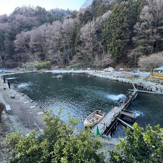 朝から釣りしている人がいました