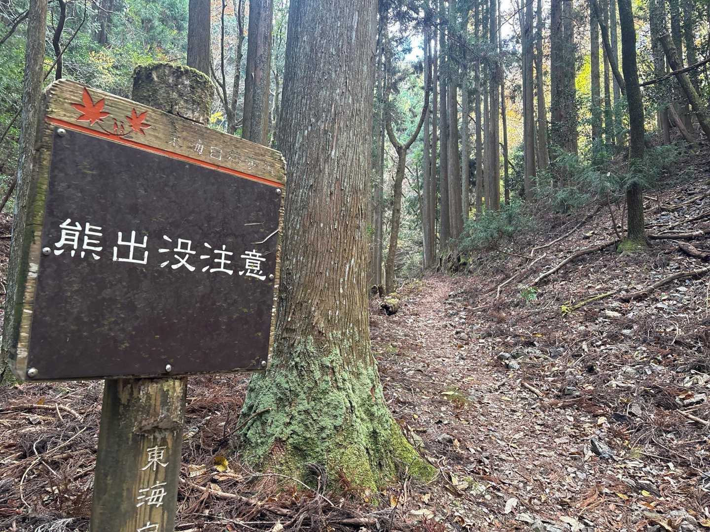 熊出るってよっっ
スピーカー音量少し上げます🎵