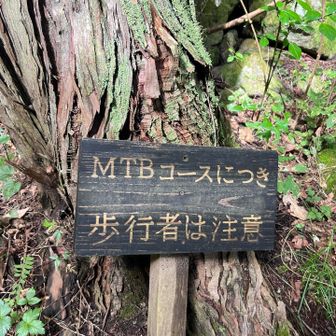 MTBに撥ねられたくない…と思ったけど、MTB通れるなら登山道的には整備されてて歩き易そう。