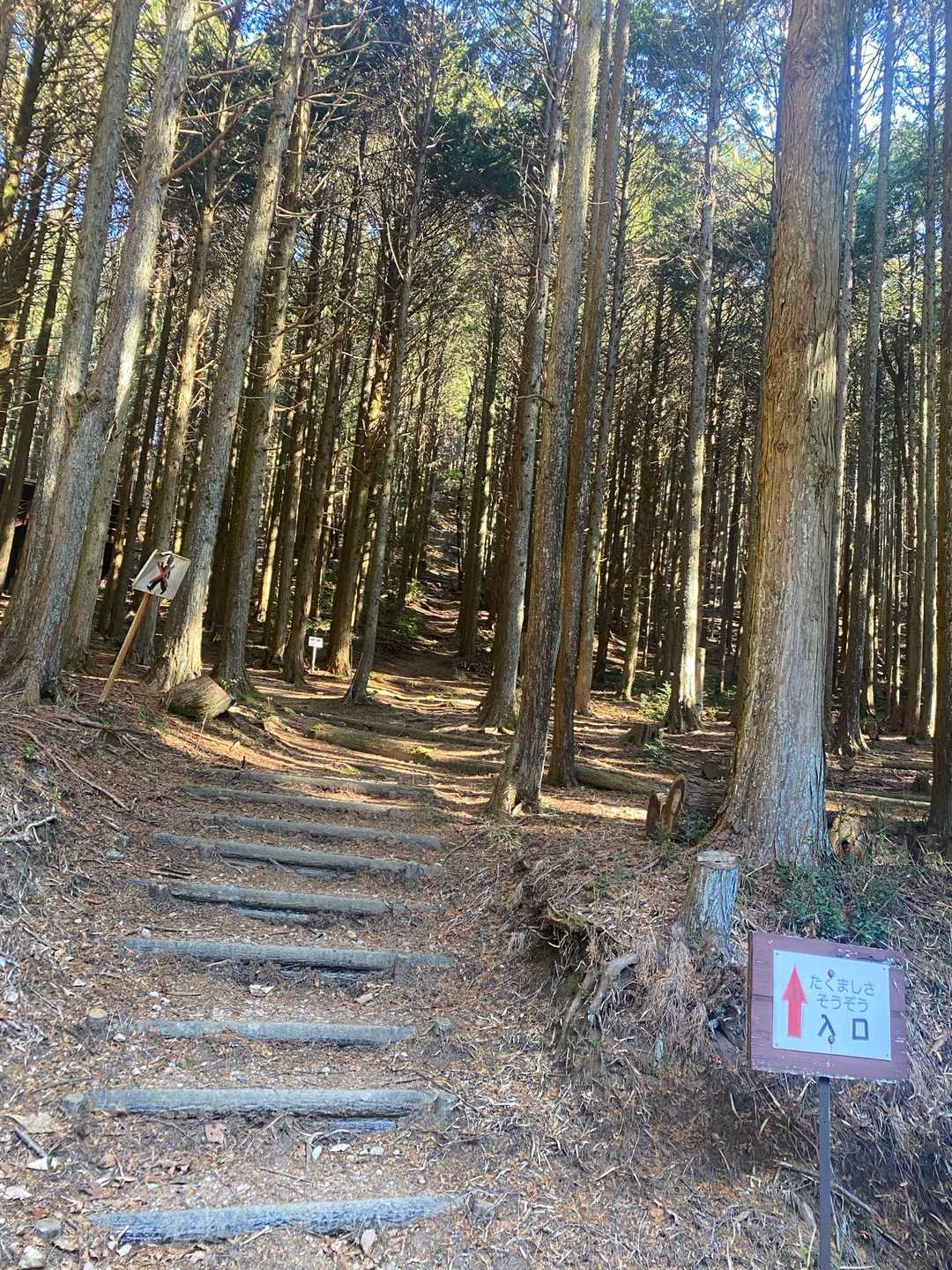 六所山-炮烙山 周回コースの写真