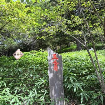 途中、林道経由しつつ五合目到着。ここまででもそれなりに登ってるが、ここからエグさが変わる。
