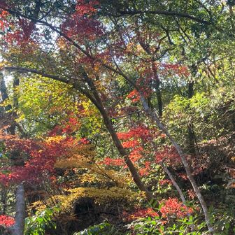 概ね終盤な感じ😅