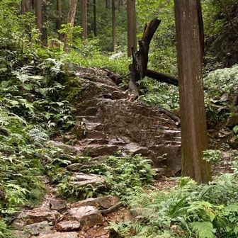 登りごたえがありそうです。