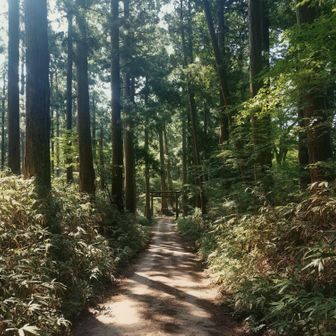 前後の人影がなくなった瞬間