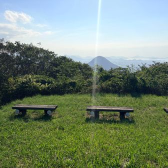 さっき撮った