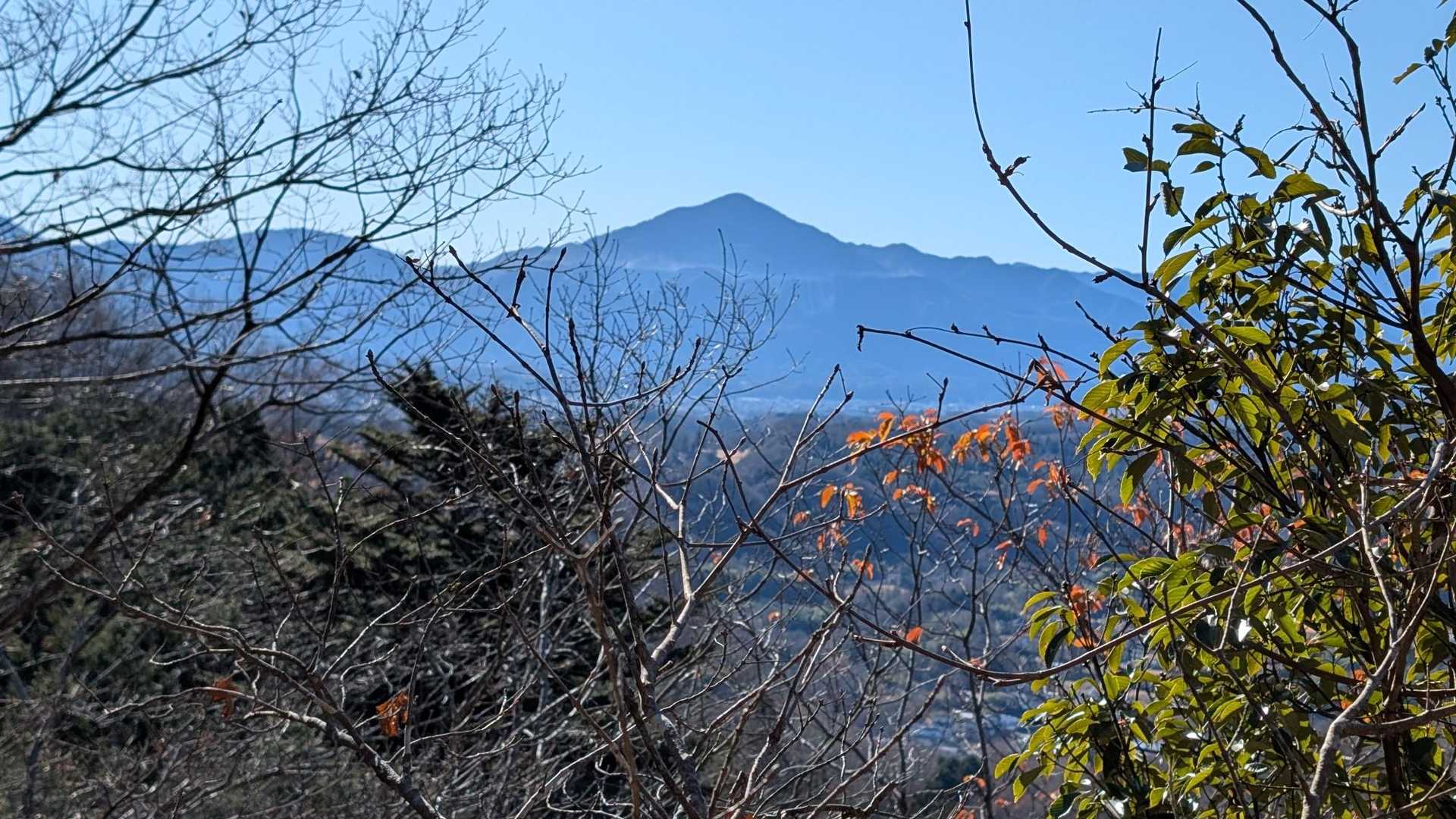分かりやすい武甲山