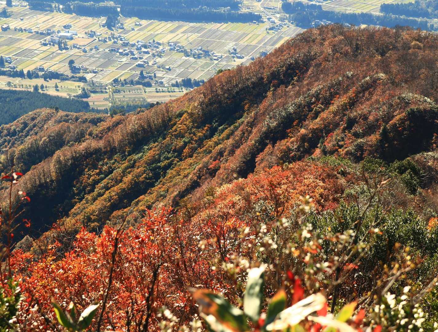 下山時に坂戸山方面パチリ📷✨
いいところだなぁ♡