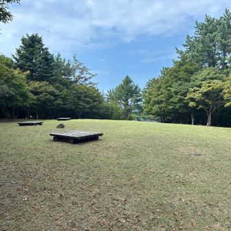 三笠山頂上付近