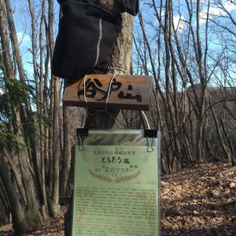 足百完全制覇した［よたろう］から、相棒［とらたろ］へ…
「準足百ハンター(ﾗﾝｸ見習い)&足百奮闘証明書」が授与されました！
(๑ˇεˇ๑)•*¨*•.¸¸♪
とらたらの足百完全制覇は…たぶん無いね(_ _*)