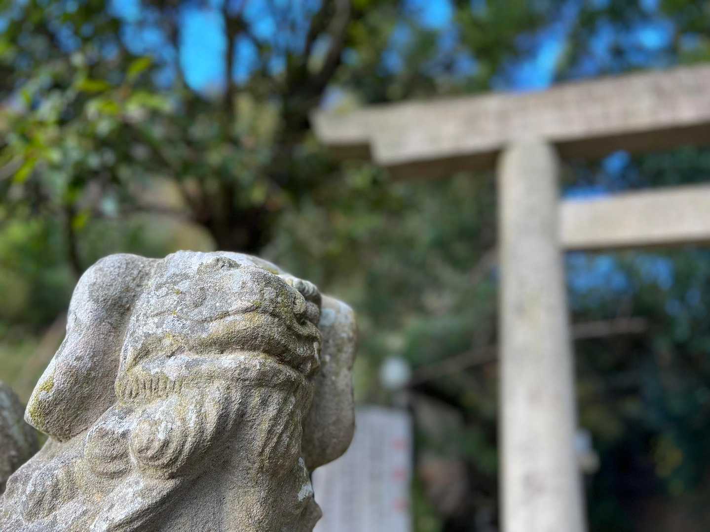 やっぱりホームは👍 