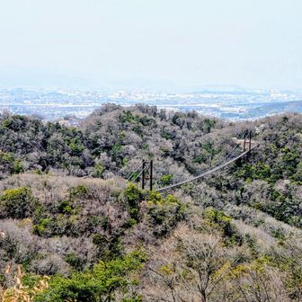 展望デッキからの眺め
秋は一面紅葉