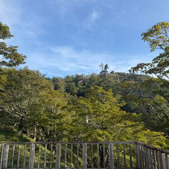 山頂はアチラ