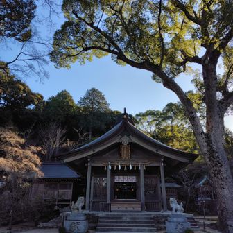 何気に初詣　松の内松の内